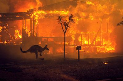 Tư lệnh Iran bị ám sát và cháy rừng Australia vào top ảnh tuần