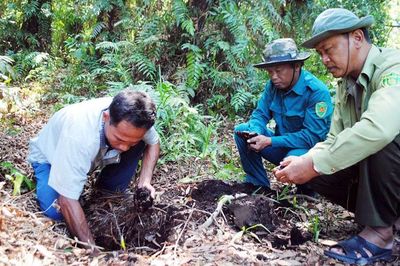 Dốc sức bảo vệ rừng mùa khô