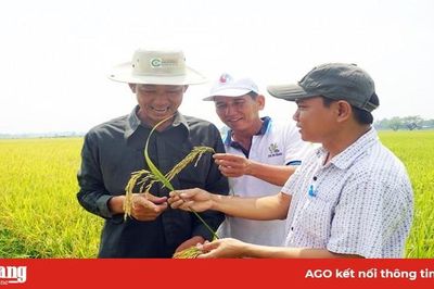 Phú Tân phát huy thế mạnh nông nghiệp
