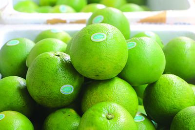 Cần nâng cao chất lượng nông sản để chủ động đầu ra