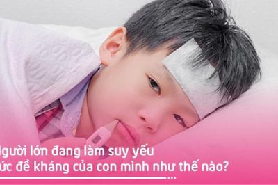 Người lớn đang tự làm suy yếu sức đề kháng của con như thế nào?