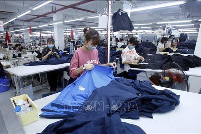 Hiệp định EVFTA: Trợ lực cho xuất khẩu bứt phá