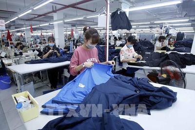Hiệp định EVFTA: Xuất khẩu của Việt Nam có thể tăng 12% vào năm 2030
