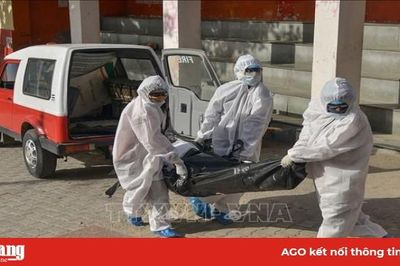 Ấn Độ có số ca bệnh COVID-19 nhiều thứ 7 trên thế giới