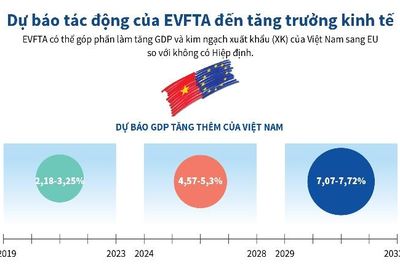 Dự báo tác động của EVFTA đến tăng trưởng kinh tế