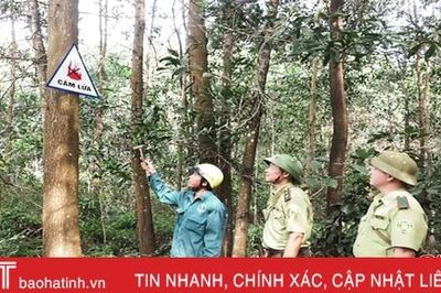 Gọi ngay số máy 0913310611 khi cháy rừng xảy ra ở Hà Tĩnh