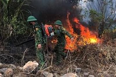 Khẩn trương dập tắt đám cháy rừng tại Nghệ An