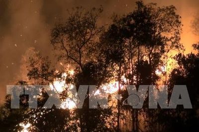 Cháy rừng mùa khô – Đừng để 'đến hẹn lại lên'