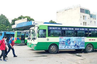 Ngành Vận tải trên đà hồi phục