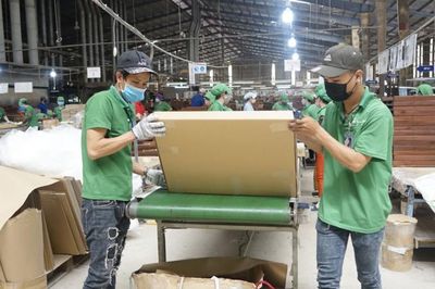 Xuất khẩu gỗ Việt Nam sau EVFTA: Gỗ lậu sẽ bị 'từ chối'