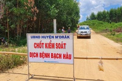 Đắk Lắk: Thêm 2 trường hợp dương tính với bạch hầu