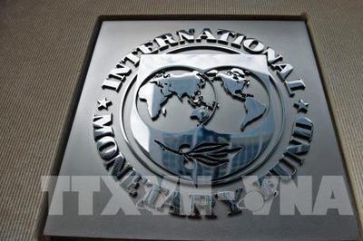 41 quốc gia chính thức đề nghị IMF giãn nợ