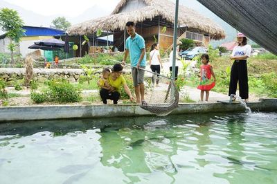 Phát triển mô hình nông nghiệp gắn với du lịch sinh thái