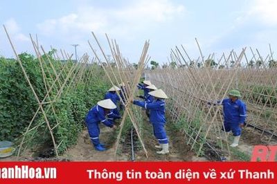 Đảng bộ xã Yên Trung xây dựng nông thôn mới kiểu mẫu