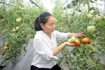 Phụ nữ ''giữ lửa'' cho nông thôn mới kiểu mẫu