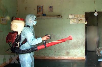 Quảng Ngãi khẩn trương ngăn chặn dịch bệnh bạch hầu lây lan