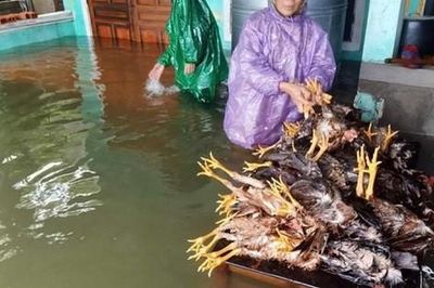 Hà Tĩnh thiệt hại ra sao sau trận lũ lịch sử vừa qua?