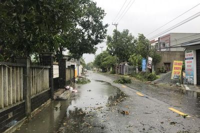 Đà Nẵng: Nước biển tràn bờ, cây cối đổ rạp trong bão