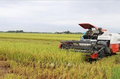 75% số xã đạt chuẩn nông thôn mới tại Thái Nguyên