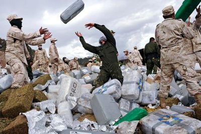 Băng đảng Mexico tràn lên TikTok để tuyển người