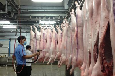 Siết chặt quản lý cơ sở giết mổ lợn