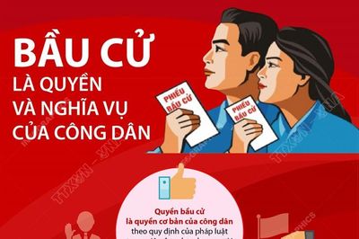 Bầu cử là quyền và nghĩa vụ của công dân