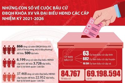 Những con số về cuộc bầu cử ĐBQH khóa XV và đại biểu HĐND các cấp