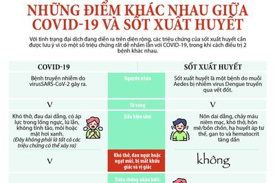 COVID-19 và sốt xuất huyết giống và khác nhau như thế nào?