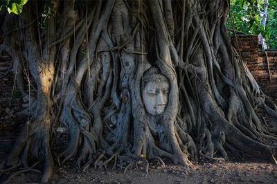 Ayutthaya – Cố đô đã từng rất thịnh vượng của người Thái