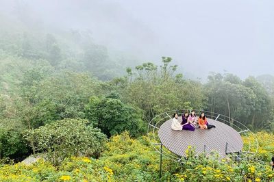 Chiêm ngưỡng Tam Đảo mùa hoa dã quỳ khoe sắc