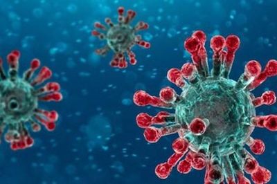 Viêm phổi do virus ở trẻ em: Triệu chứng, điều trị và cách chăm sóc, phòng ngừa