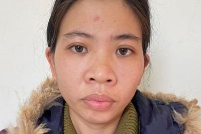 'Cò đất' ở Nghệ An lừa đảo chiếm đoạt hàng tỷ đồng của khách hàng