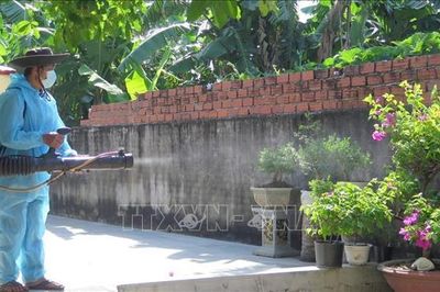 Phú Yên quyết liệt xử lý ổ bệnh sốt xuất huyết trong cộng đồng