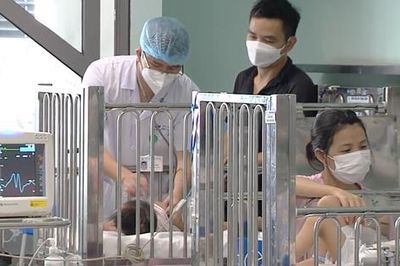 Không quá hoang mang với virus Adeno