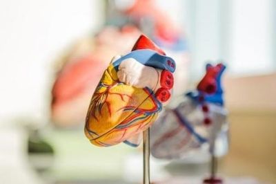 Trí tuệ nhân tạo giúp phát hiện hơn 2.700 ca đau tim ở Ấn Độ