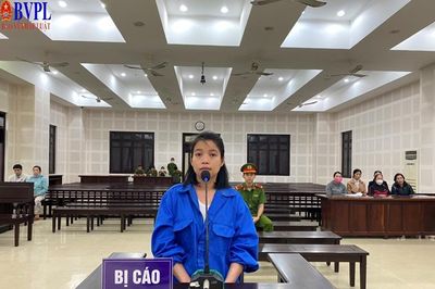 Đặt mua giấy tờ đất giả mang đi lừa đảo chiếm đoạt hơn 4 tỉ đồng