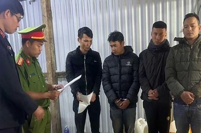 Quảng Nam: Triệt xóa đường dây cá độ bóng đá tại vùng trồng Sâm Ngọc Linh