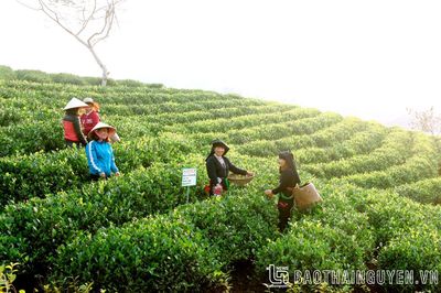 Đại Từ đánh thức tiềm năng du lịch