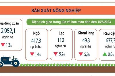 Inforgraphics: Sản xuất nông nghiệp 5 tháng đầu năm 2023