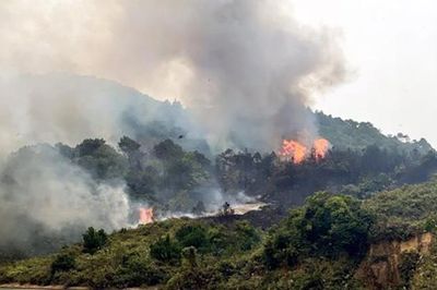 Quảng Ninh: Cháy rừng khiến hai người dân tử vong