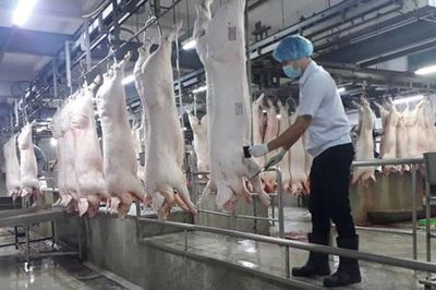 Bảo đảm vệ sinh thú y đối với cơ sở giết mổ động vật
