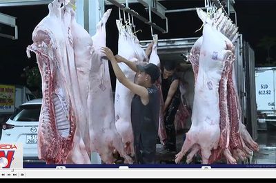 Nhiều nhà máy giết mổ gia súc gặp khó