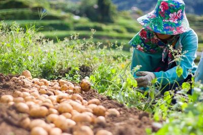 Philippines thông qua luật xóa nợ cho nông dân
