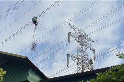 Hỗ trợ thi công đường dây 220kV Nhiệt điện Hải Dương - Trạm 500kV Phố Nối