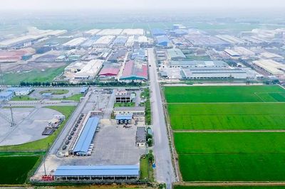 'Quê lúa' chuyển mình phát triển công nghiệp