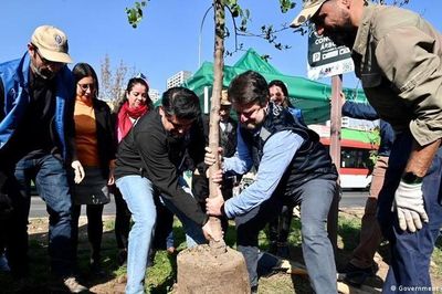 Thế giới ứng phó với các đợt nắng nóng: Muôn màu muôn vẻ