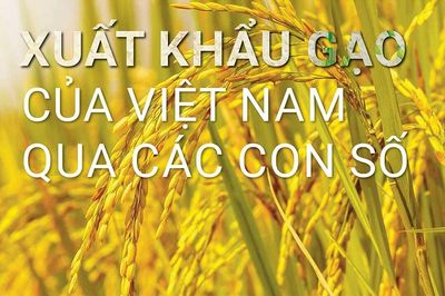 7 tháng đầu năm 2023: Xuất khẩu gạo của Việt Nam qua các con số