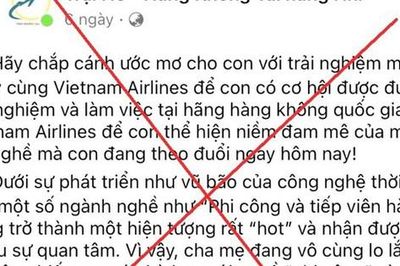Bị lừa tiền tỷ vì đăng ký 'Trại hè - Hàng không tài năng nhí' cho con