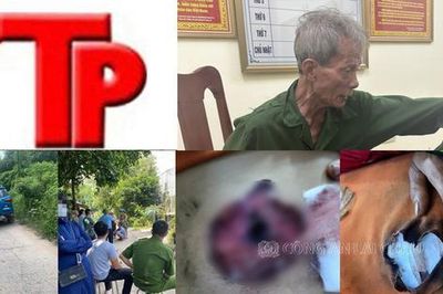 Bản tin Hình sự: Người cha già đoạt mạng con gái