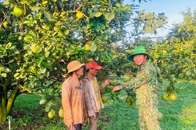Người cao tuổi nêu gương phát triển kinh tế